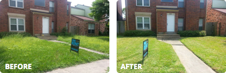 Lawn mowing with TaskEasy: before and after