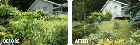 We provide before and after pictures for all our landscaping services