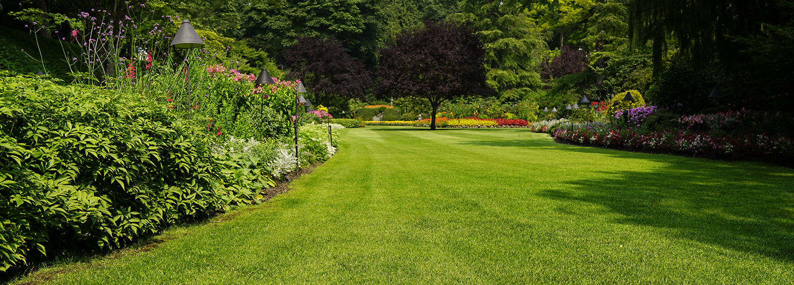 6-Awesome-Facts-About-Lawns