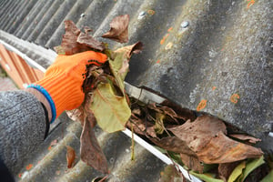 Gutter Cleaning