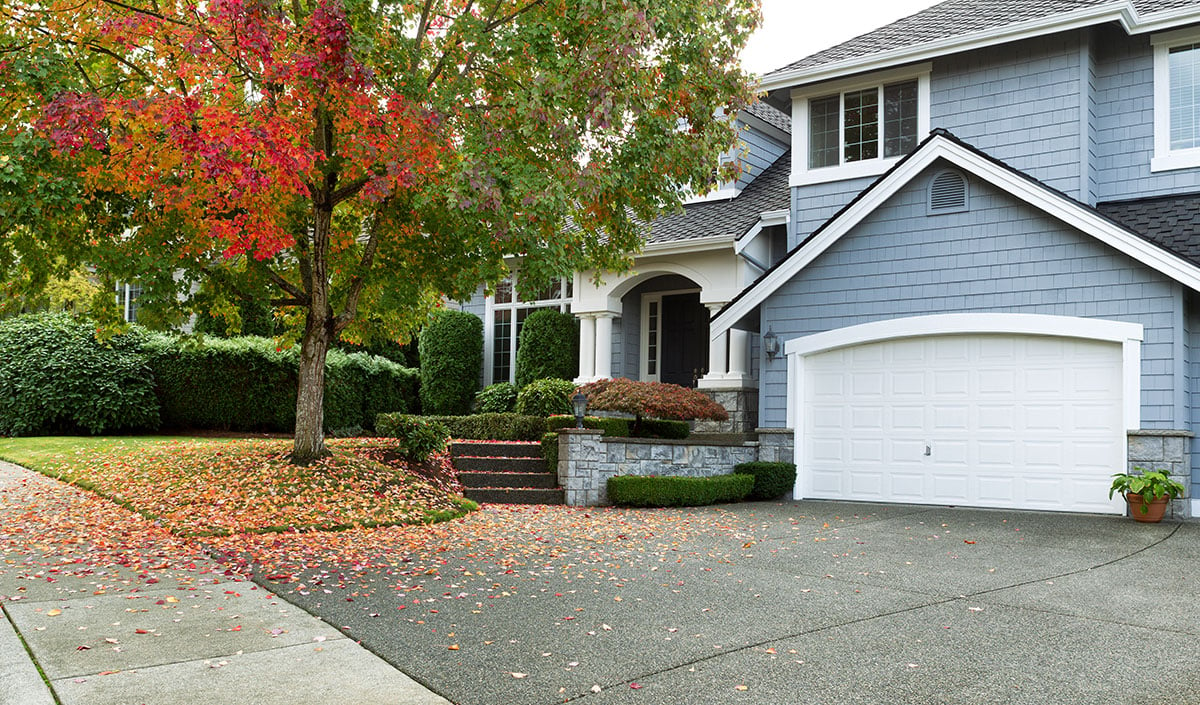 home in fall leaves