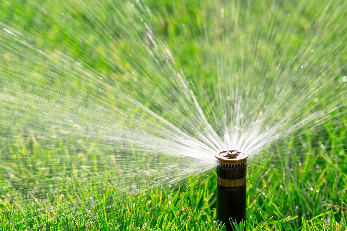 sprinklers maintenance