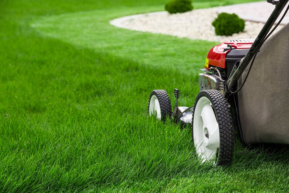 mow lawn