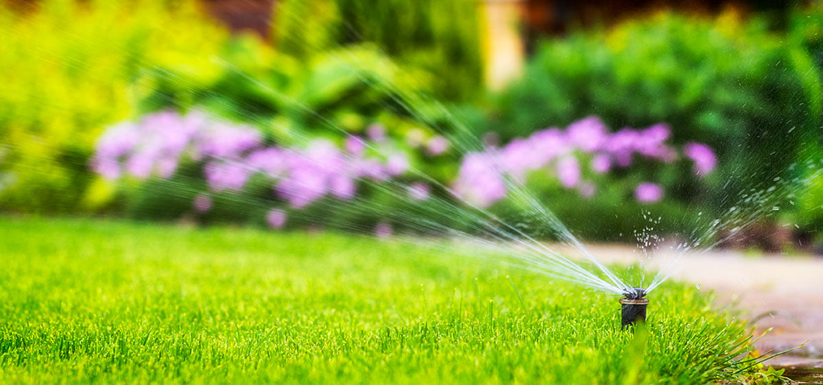 conserve-water-in-summer---sprinkler_in-text-&-featured