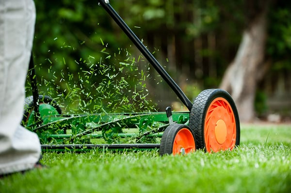 Why You Should Ditch the Bag and Start Mulching Your Grass Clippings