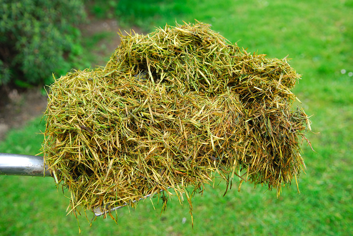 grass-clippings-in-text02