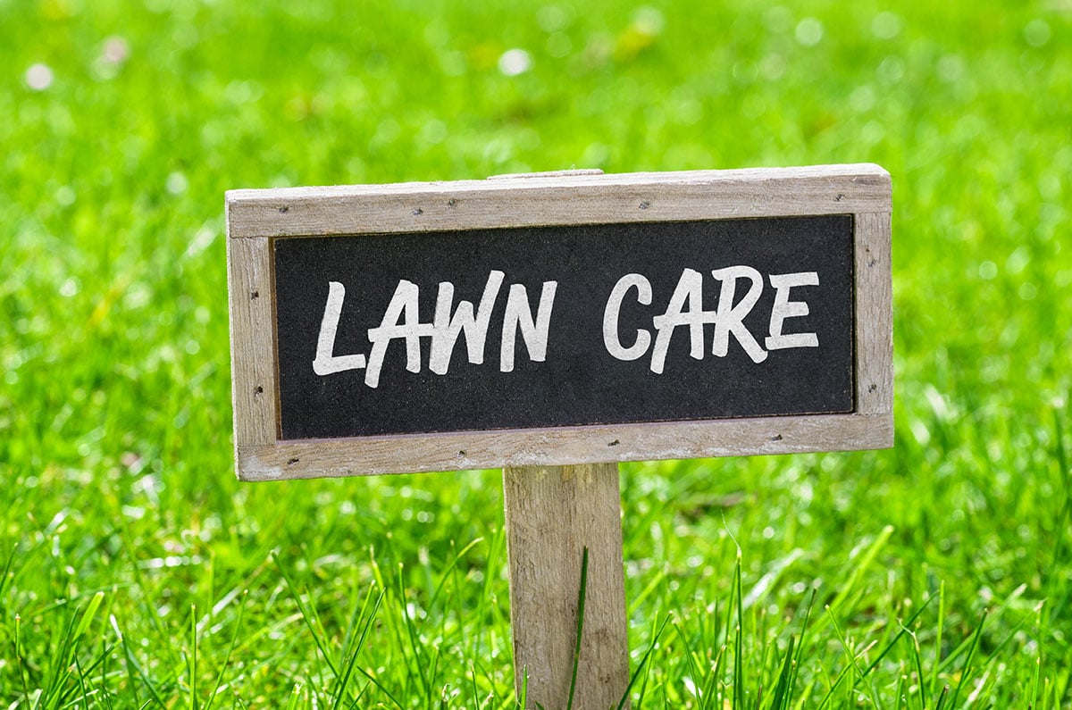 how-to-start-a-ldnscaping-businness---yard-sign