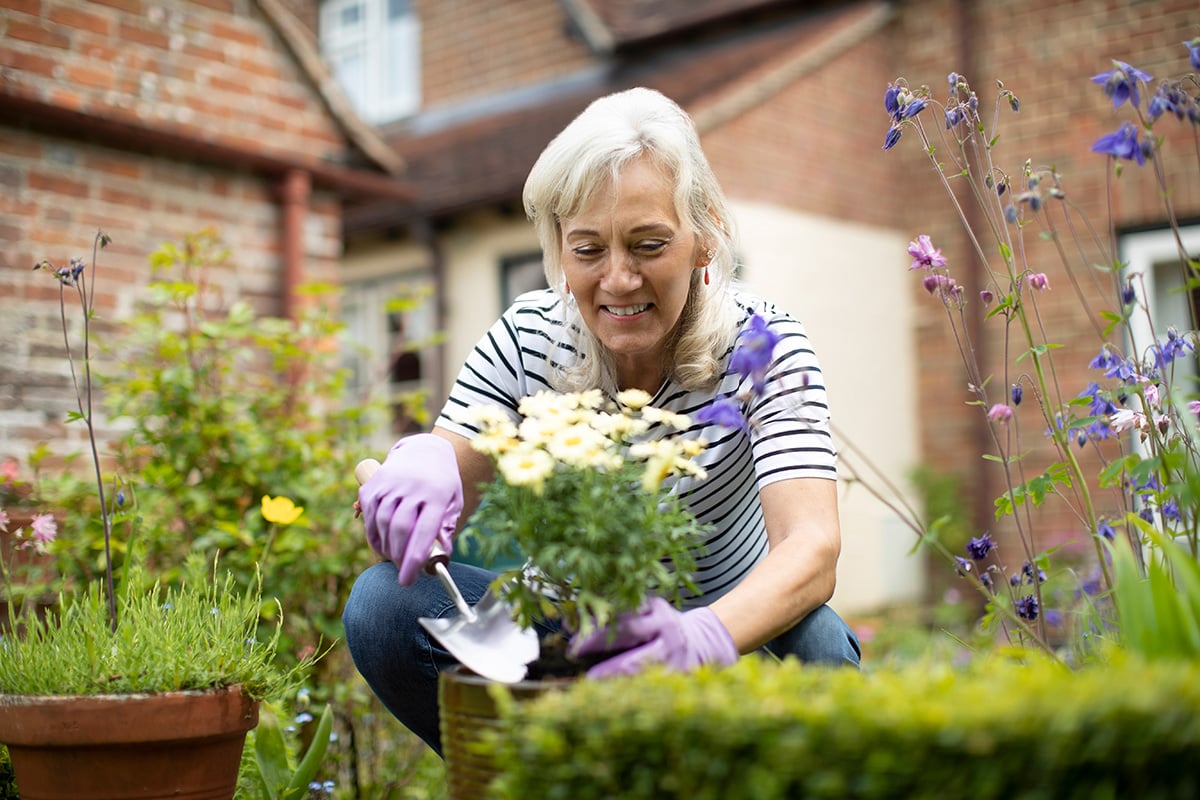 planting flowers