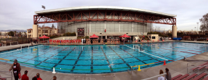 StanfordUniversityWaterPolo