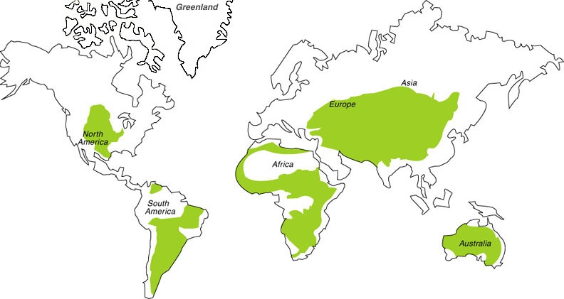 grassland_map_big2