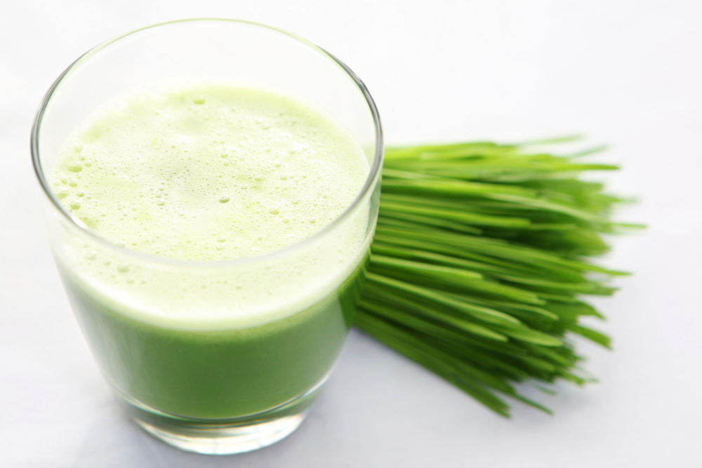 wheatgrass