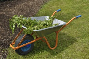 Cleaning up the Yard