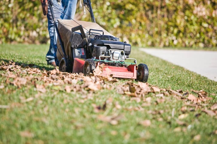 Mulching-Leaves