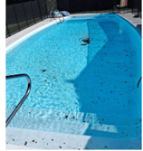 Pool Cleaning Tips & Documentation3