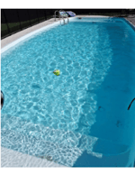 Pool Cleaning Tips & Documentation4