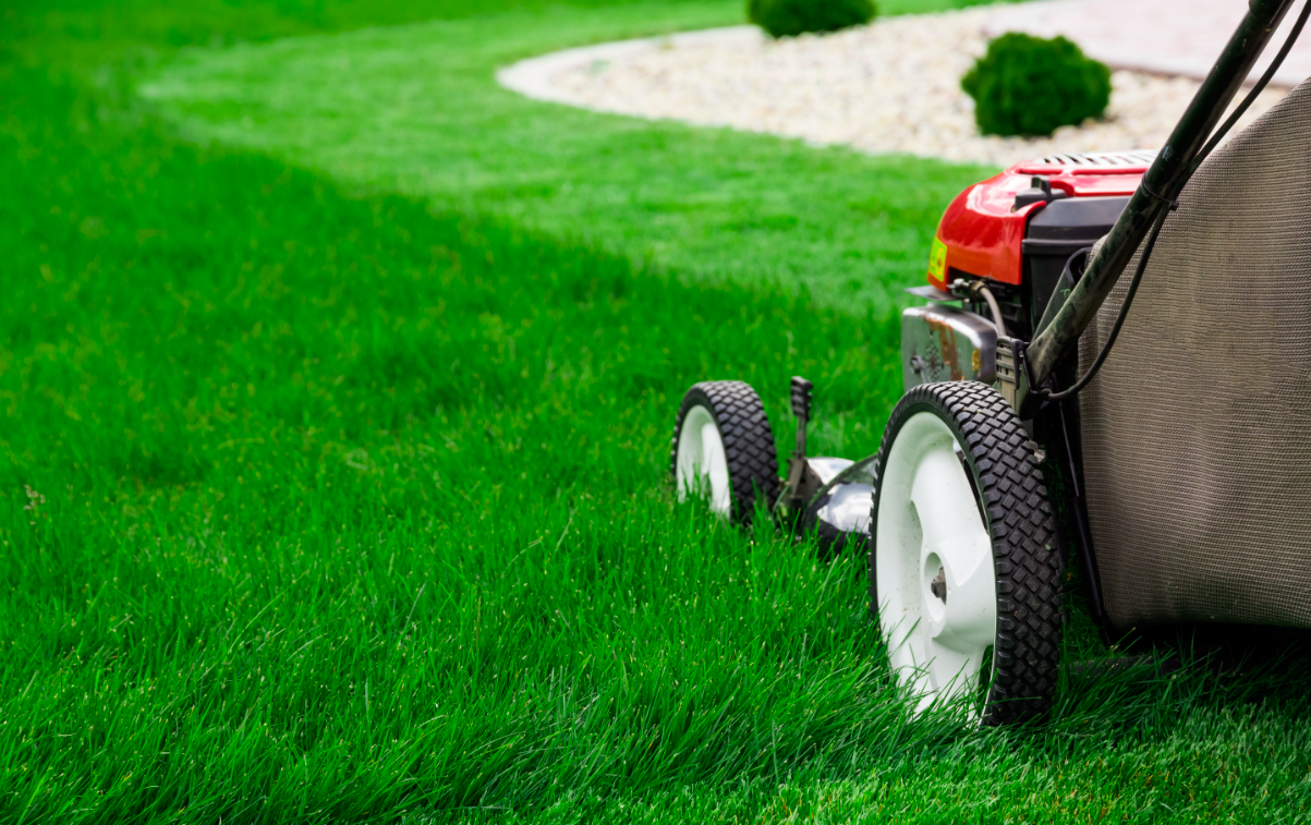 Mowing Lawn