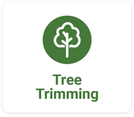 Tree Trimming