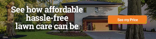 Affordable Lawn Care from TaskEasy
