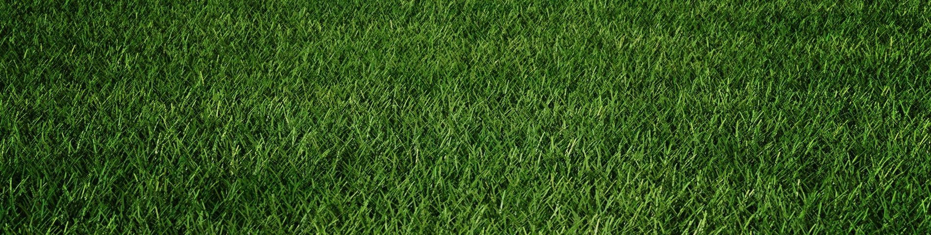 Grass_Hero_1900x480