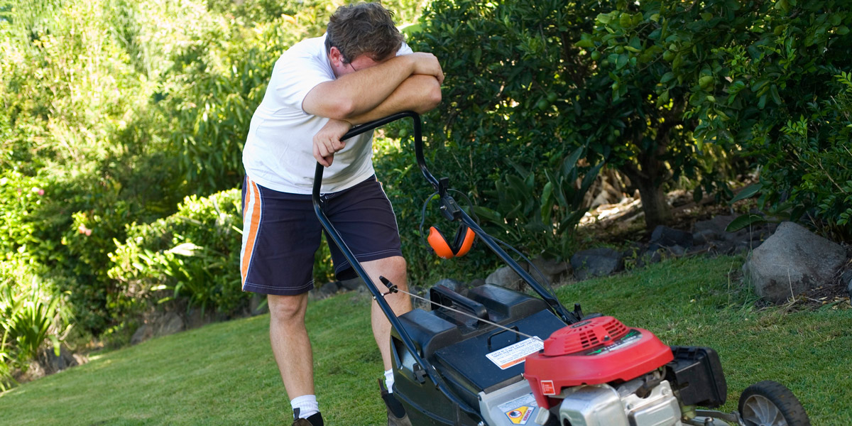 Who Should Manage Your Rental Property Lawn Maintenance