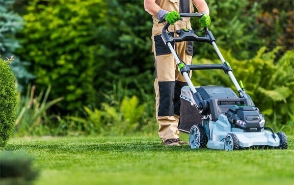 professional-lawn-care-services-new